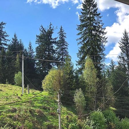 Садиба "Яна" Slavske Exteriör bild